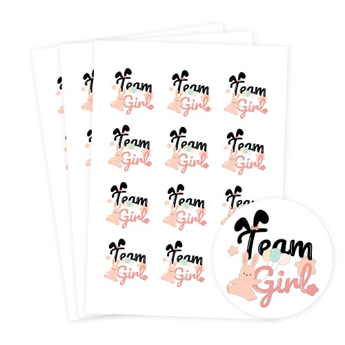 Team Girl Bunny Gender Reveal Round Stickers 60mm - Sheet of 12 Product Gallery Image