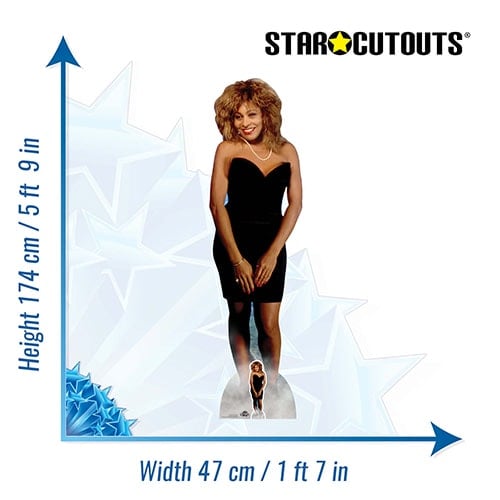 Tina Turner Lifesize Cardboard Cutout 174cm Product Gallery Image