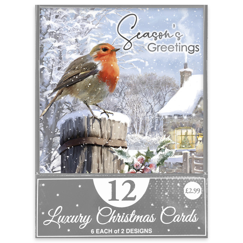 Traditional Robin Christmas Greeting Cards - Pack of 12 Product Gallery Image