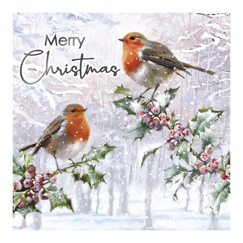 Traditional Robin Christmas Greeting Cards - Pack of 12 Product Gallery Image
