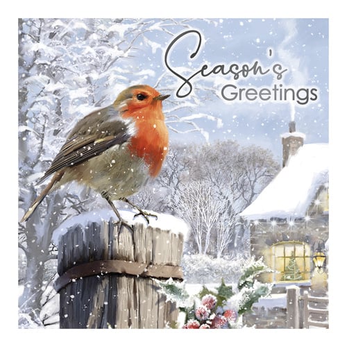 Traditional Robin Christmas Greeting Cards - Pack of 12