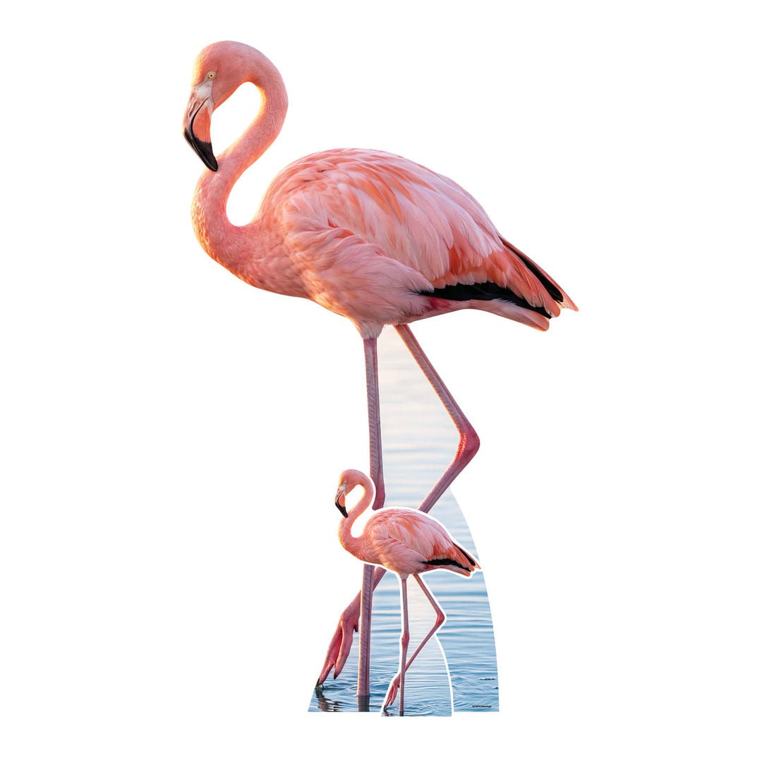 Tropical Flamingo Lifesize Cardboard Cutout 134cm