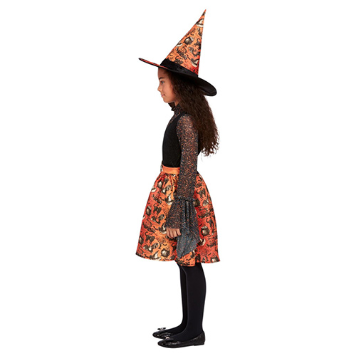 Vintage Witch Bell Sleeves Girls Fancy Dress Costume Kids Small - Age 4-6 Product Gallery Image