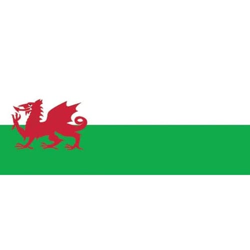 Welsh Flag Design Small Personalised Banner - 4ft x 2ft
