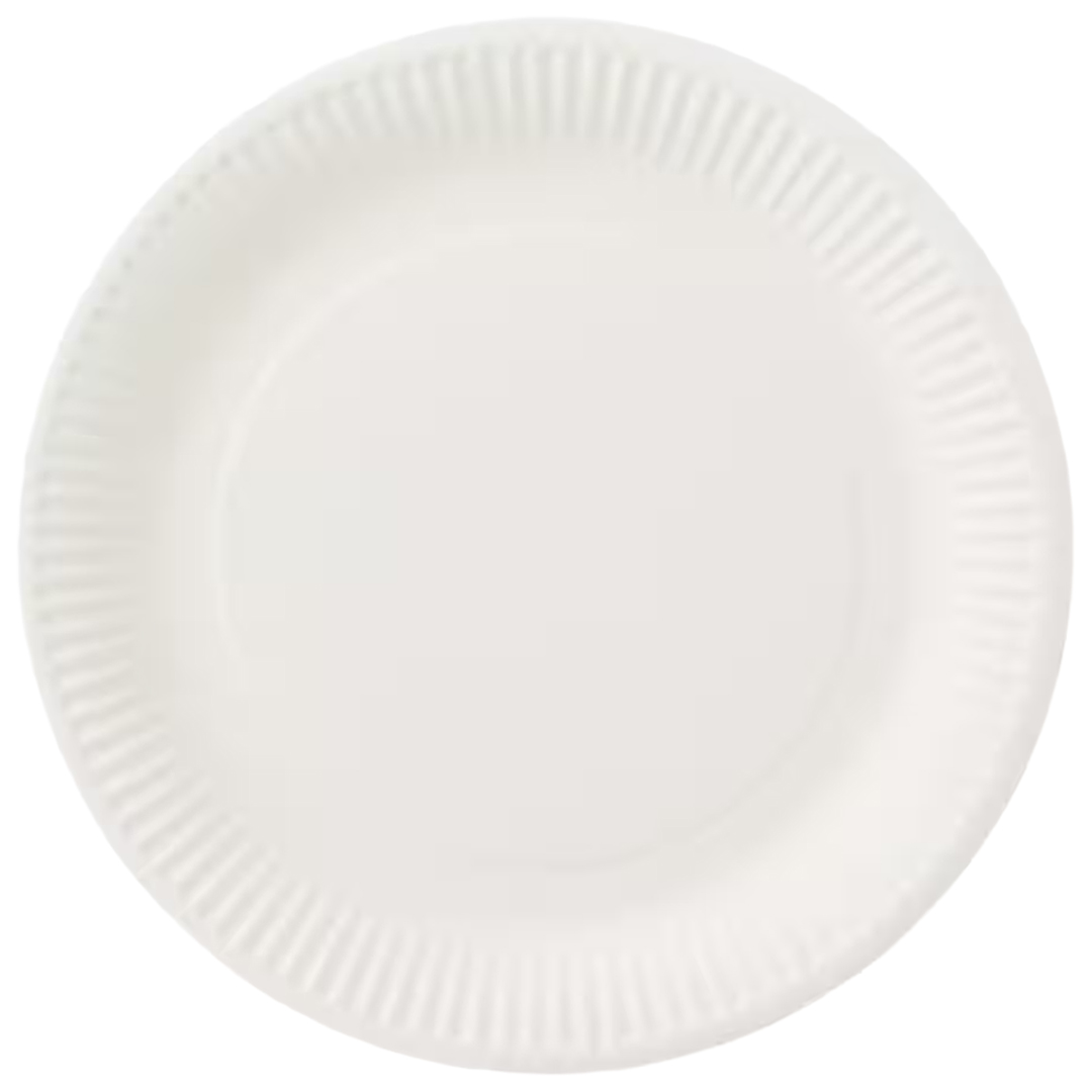 White Biodegradable Round Paper Plates 23cm - Pack of 100