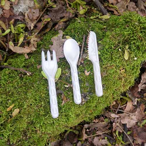 White Compostable Bagasse Spoons - Pack of 100 Product Gallery Image