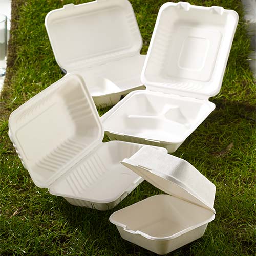 White Compostable Bagasse Takeaway Lunch Box 23cm - Pack of 125 Product Gallery Image