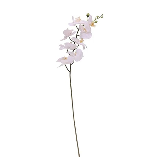 White Phalaenopsis Orchid Spray Decoration 88cm Product Image