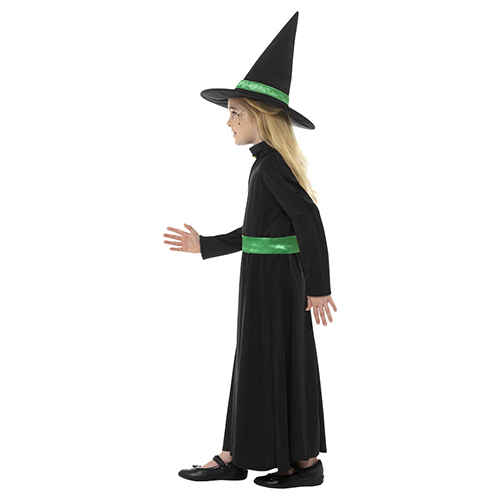 Wicked Witch Black and Green Girls Fancy Dress Costume Kids Small - Age 4-6 Product Gallery Image
