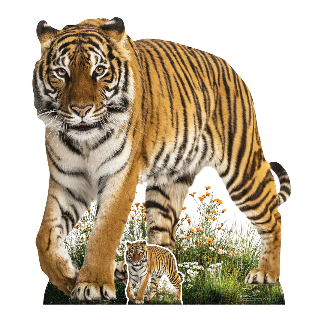 Wild Tiger Lifesize Cardboard Cutout 93cm