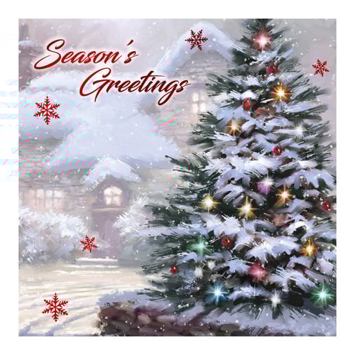 Winter Wonderland Christmas Greeting Cards - Pack of 12 Product Gallery Image