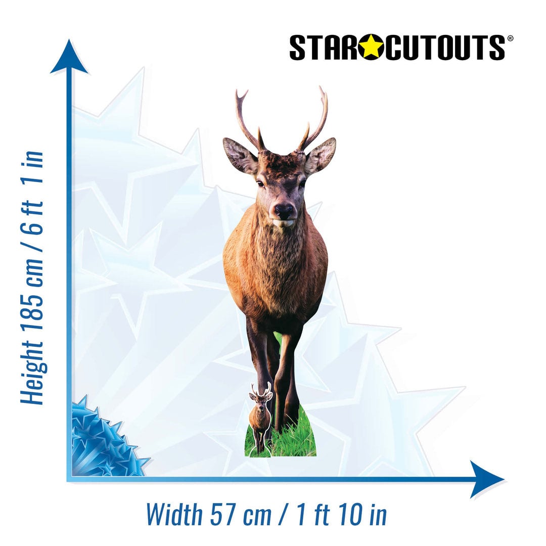 Woodland Deer with Antlers Lifesize Cardboard Cutout 185cm View 3