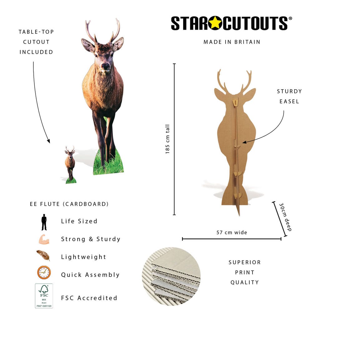 Woodland Deer with Antlers Lifesize Cardboard Cutout 185cm View 6