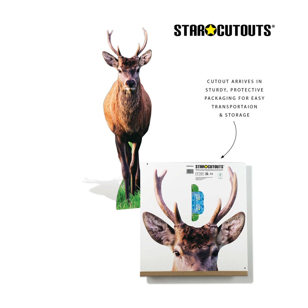 Woodland Deer with Antlers Lifesize Cardboard Cutout 185cm View 7