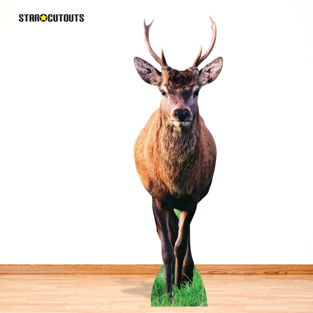 Woodland Deer with Antlers Lifesize Cardboard Cutout 185cm View 8