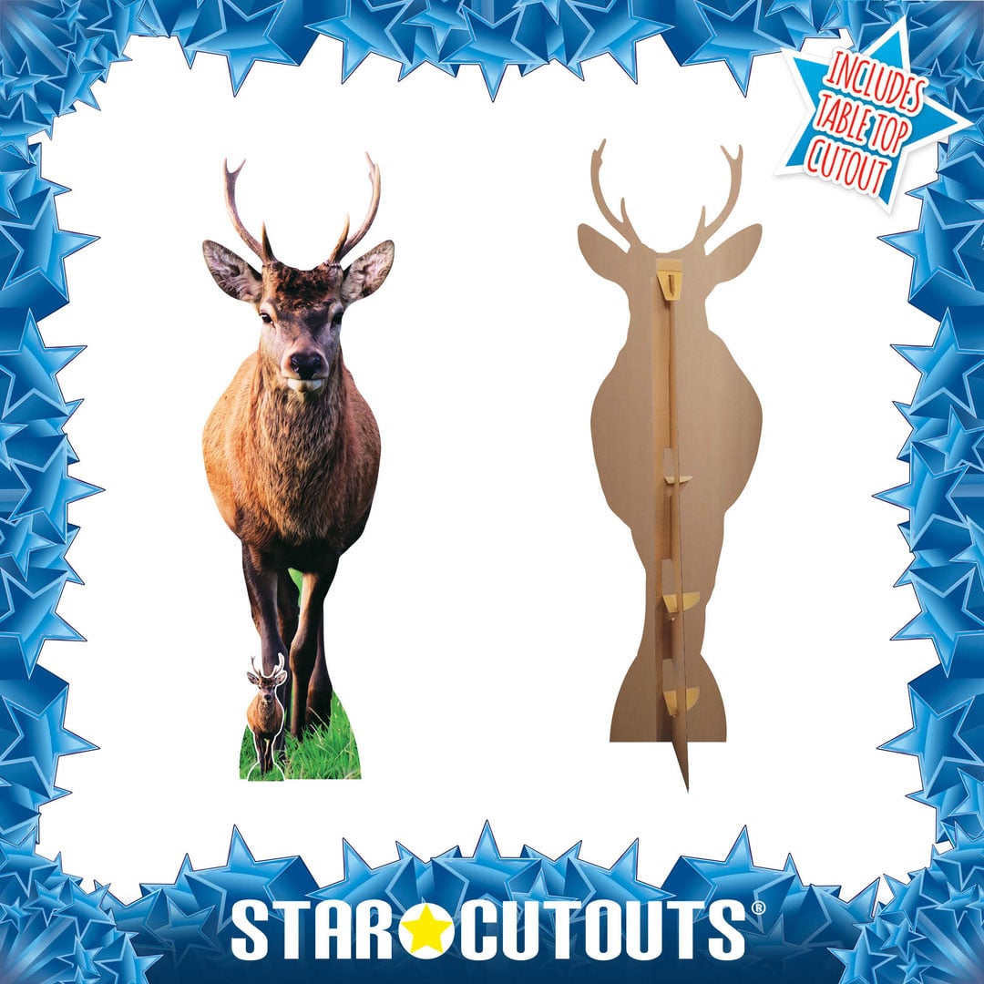 Woodland Deer with Antlers Lifesize Cardboard Cutout 185cm View 2