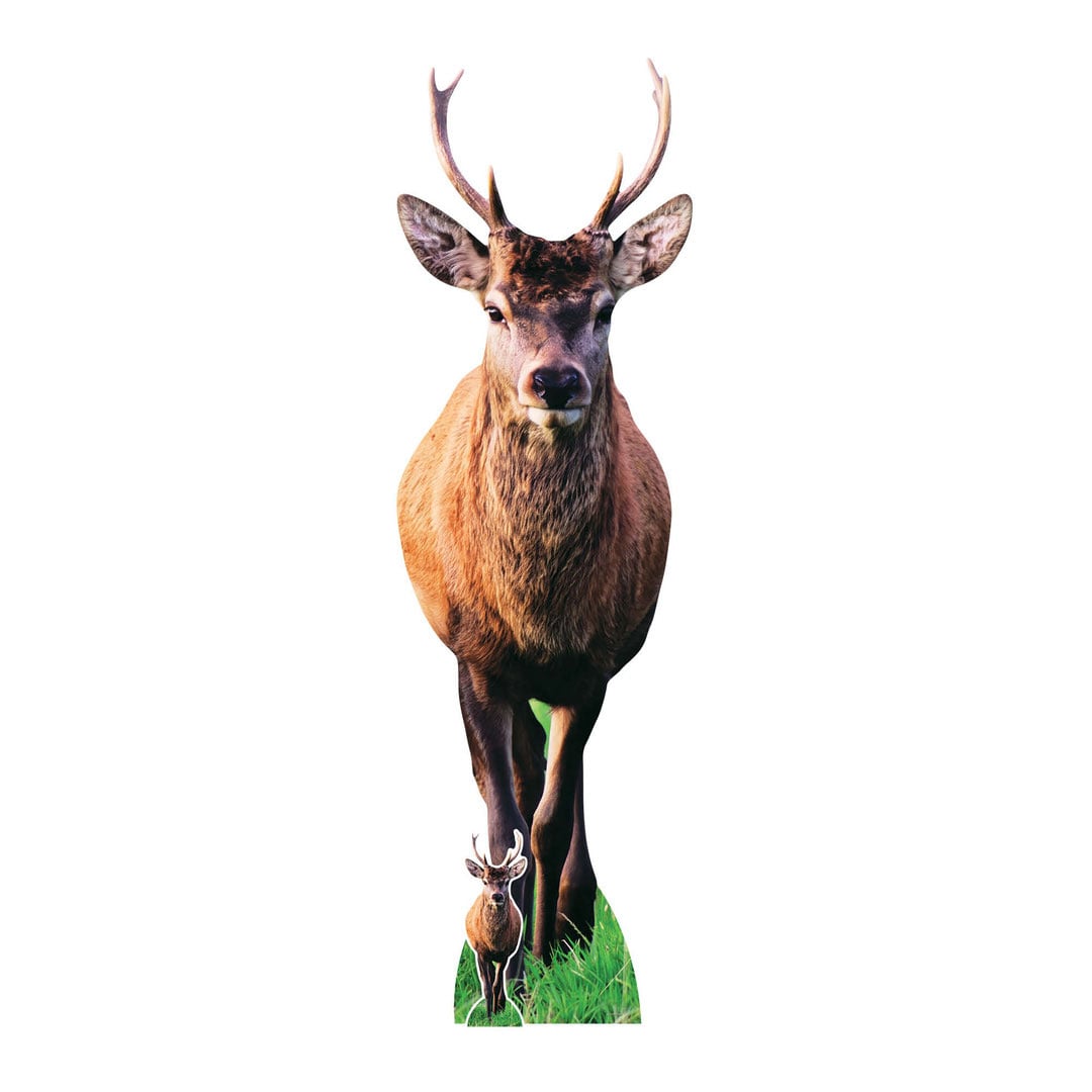 Woodland Deer with Antlers Lifesize Cardboard Cutout 185cm