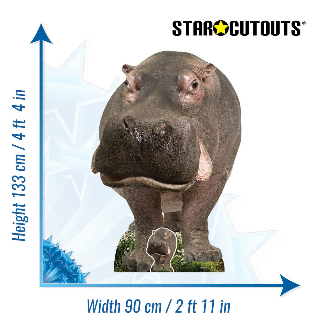 Young Hippo Lifesize Cardboard Cutout 133cm Product Gallery Image