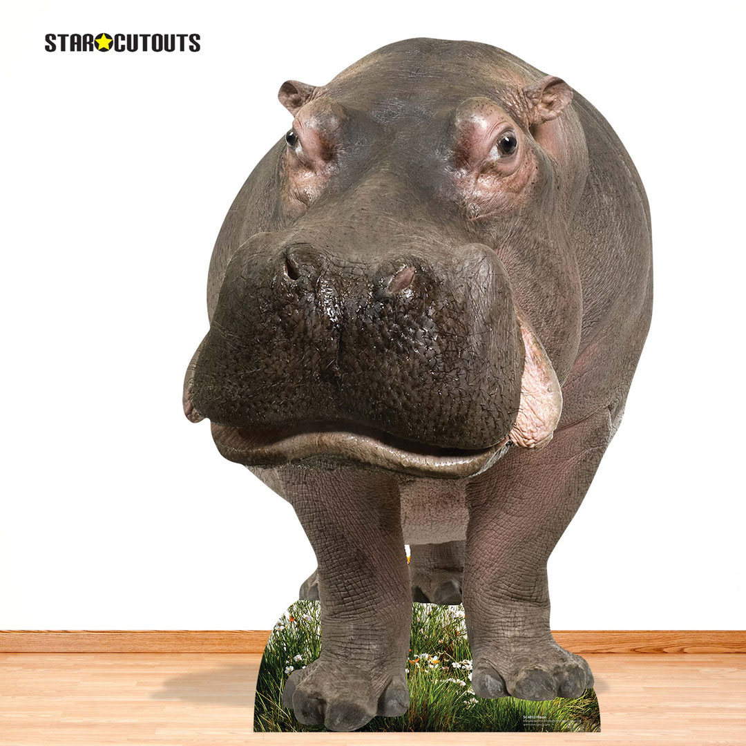 Young Hippo Lifesize Cardboard Cutout 133cm Product Gallery Image