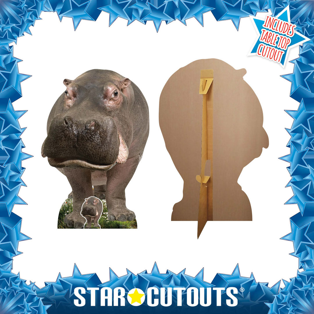 Young Hippo Lifesize Cardboard Cutout 133cm Product Gallery Image