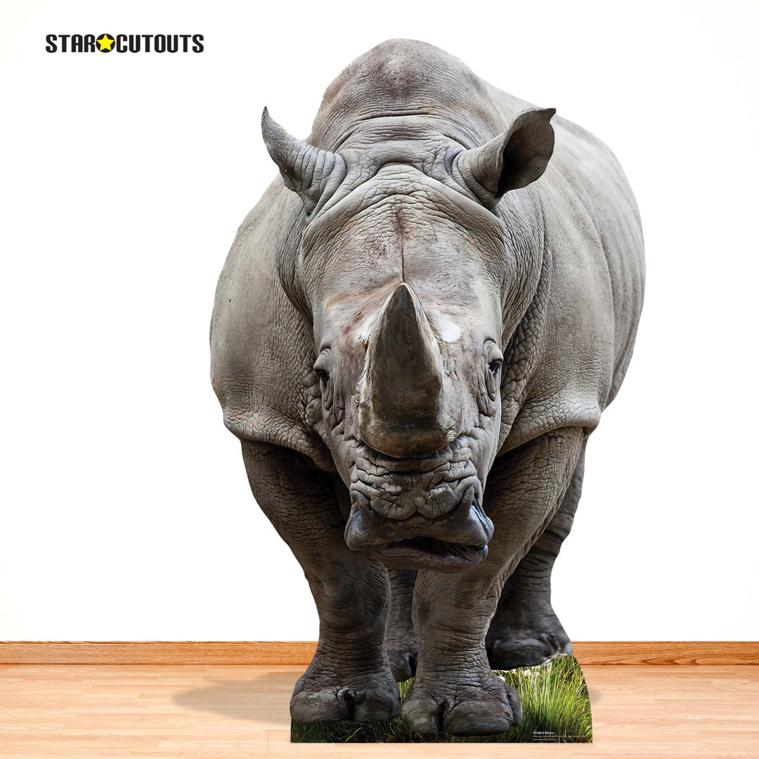 Young Rhino Lifesize Cardboard Cutout 152cm Product Gallery Image