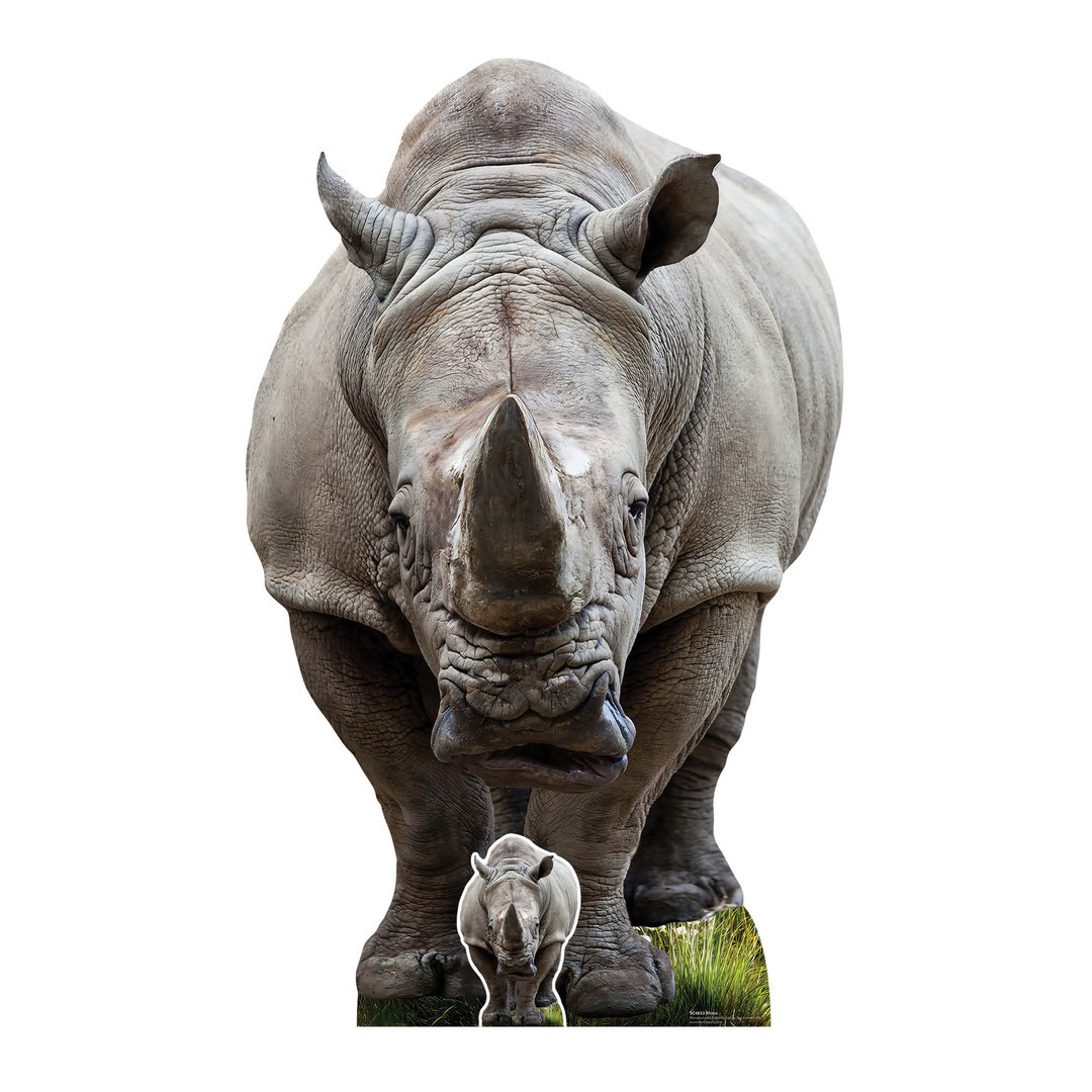 Young Rhino Lifesize Cardboard Cutout 152cm