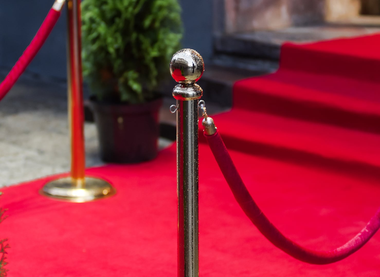 Red Carpet