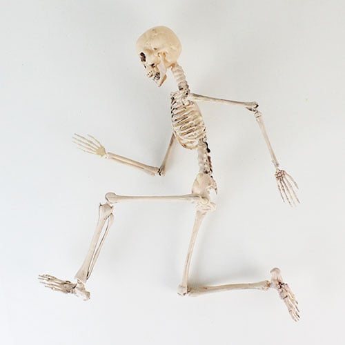 Halloween Prop Movable Skeleton Hanging Decoration 50cm Product Gallery Image