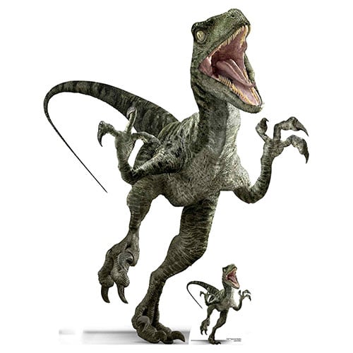 Official Jurassic World Charlie Raptor Dinosaur Lifesize Cardboard Cutout 129cm Product Gallery Image