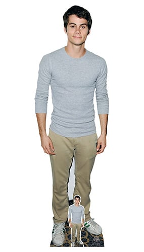 Dylan O Brien Grey Shirt Lifesize Cardboard Cutout 179cm Partyrama Dylan O Brien Grey Shirt Lifesize Cardboard Cutout 179cm Partyrama
