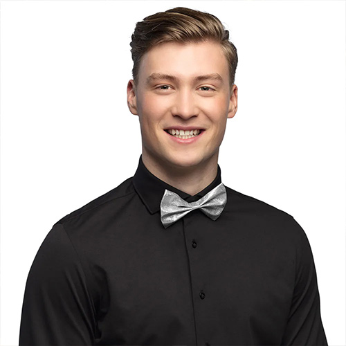 fancy dress bow tie