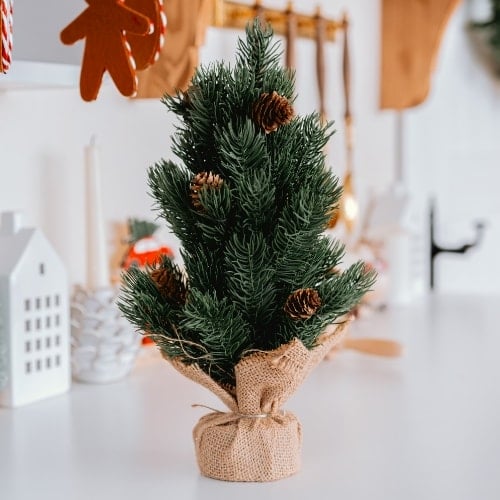 Cheap Christmas Trees