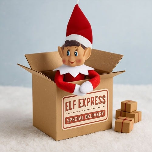 Naughty Elf Arrival