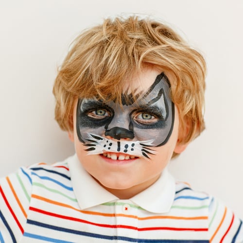 Fancy Dress Face Paints