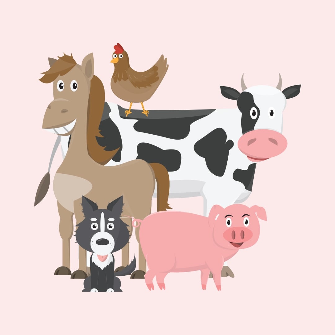 Farm Animals Party Supplies