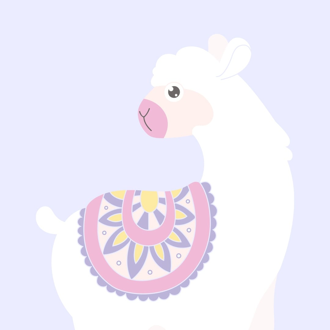 Llama Party Supplies