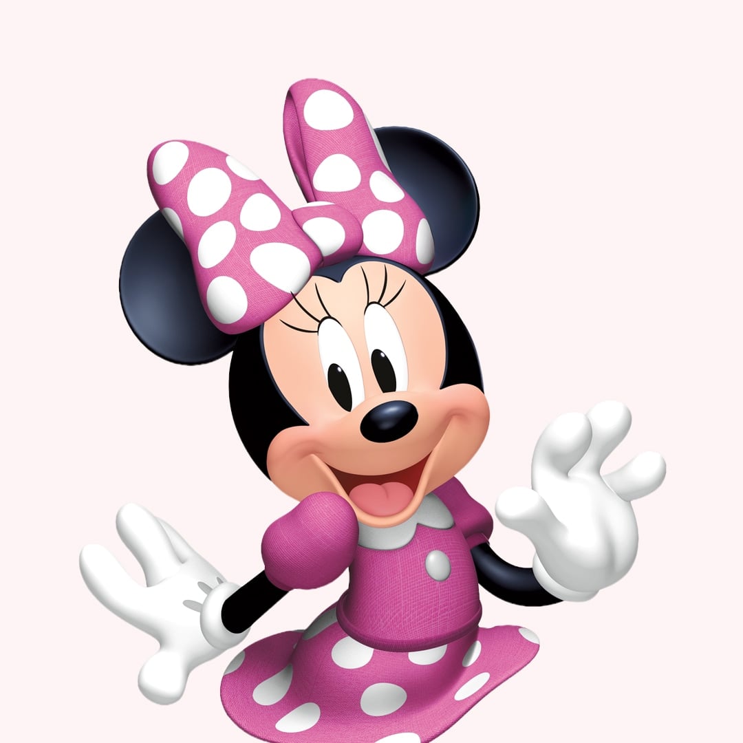 Minnie Mouse Party Supplies