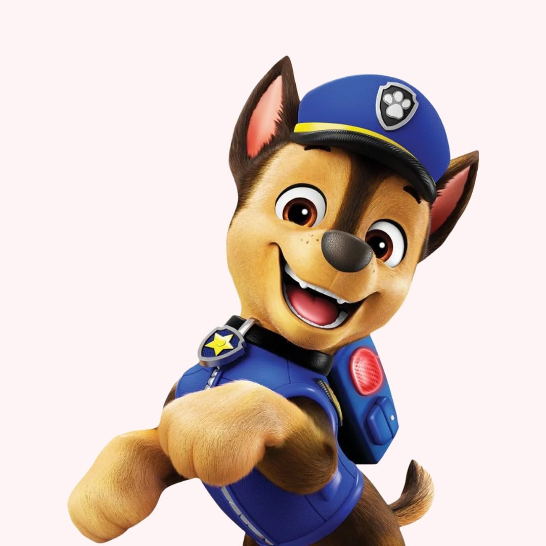 Paw Patrol Party Supplies